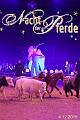2015-12-03 18-51-10 (2)